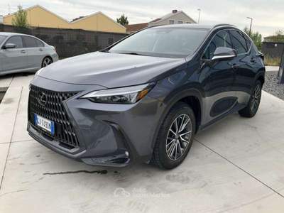 Lexus NX 309cv Grigio usata Pieve di Cento