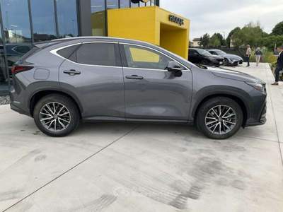 Lexus NX 309cv Grigio usata Pieve di Cento