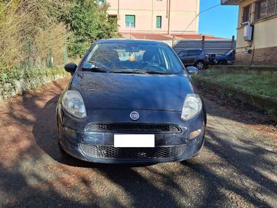 Fiat Punto Fiat Punto 1.2 8V STREET Blu/Azzurro usata OVADA