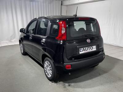 Fiat Pandina 1.0 FireFly Hybrid Icon Nero usata Montagna in Valtellina