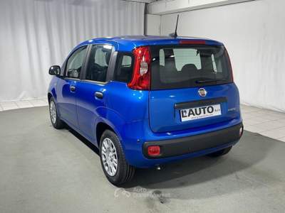 Fiat Pandina 1.0 FireFly Hybrid Icon Blu/Azzurro usata Montagna in Valtellina