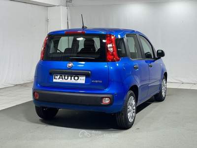 Fiat Pandina 1.0 FireFly Hybrid Icon Blu/Azzurro usata Montagna in Valtellina