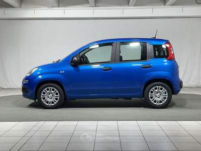Fiat Pandina 1.0 FireFly Hybrid Icon Blu/Azzurro usata Montagna in Valtellina