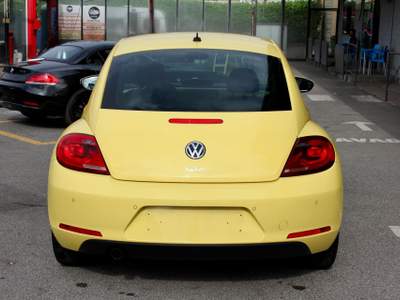 Volkswagen Maggiolino
