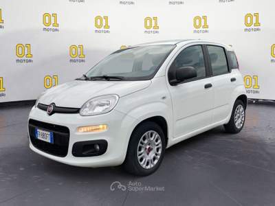 Fiat Panda Panda 1.3 MJT 95 CV S&S Easy Bianco usata Pisa