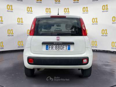 Fiat Panda Panda 1.3 MJT 95 CV S&S Easy Bianco usata Pisa