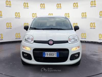 Fiat Panda Panda 1.3 MJT 95 CV S&S Easy Bianco usata Pisa