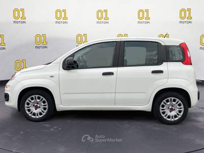 Fiat Panda Panda 1.3 MJT 95 CV S&S Easy Bianco usata Pisa