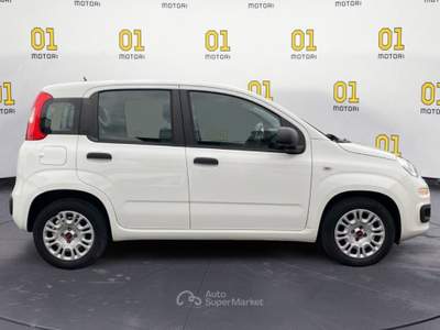 Fiat Panda Panda 1.3 MJT 95 CV S&S Easy Bianco usata Pisa