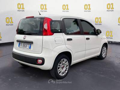 Fiat Panda Panda 1.3 MJT 95 CV S&S Easy Bianco usata Pisa