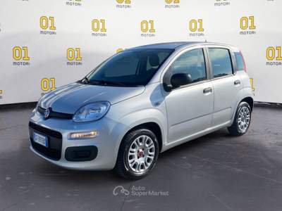 Fiat Panda 1.0 FireFly 70cv S&S Hybrid Argento usata Pisa