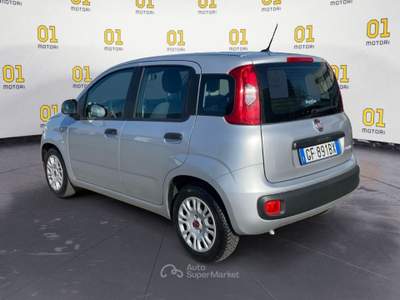 Fiat Panda 1.0 FireFly 70cv S&S Hybrid Argento usata Pisa