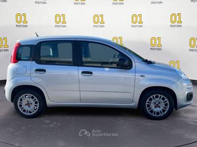 Fiat Panda 1.0 FireFly 70cv S&S Hybrid Argento usata Pisa