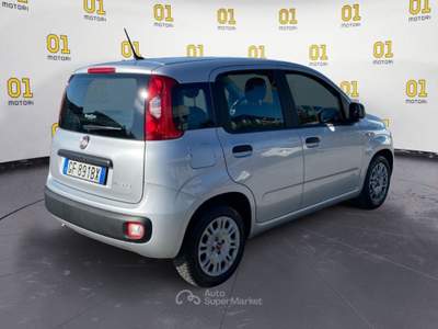Fiat Panda 1.0 FireFly 70cv S&S Hybrid Argento usata Pisa