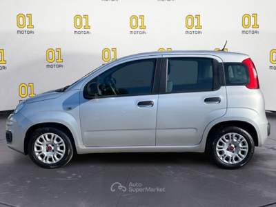 Fiat Panda 1.0 FireFly 70cv S&S Hybrid Argento usata Pisa