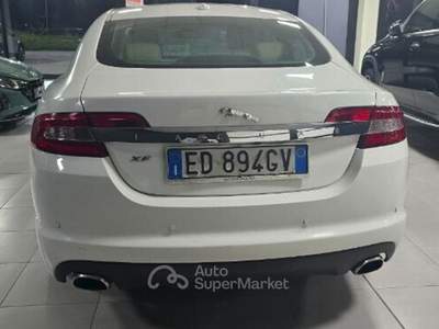 Jaguar XF XF 3.0 D V6 Luxury Bianco usata REGGIO EMILIA