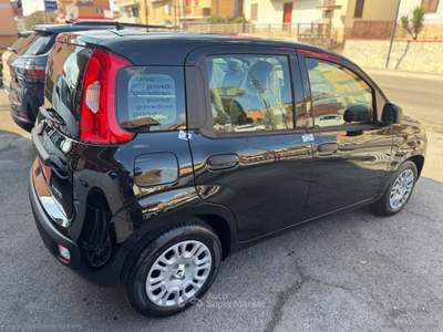 Fiat Panda Panda 1.0 FireFly S&S Hybrid Nero usata Fonte Nuova