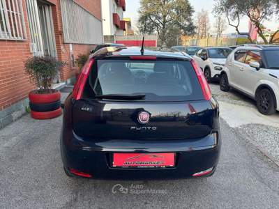 Fiat Punto 5p 1.2 Street 69cv E6 Nero usata Cernusco sul Naviglio