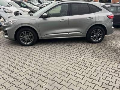 Ford Kuga 2.5 phev ST-Line X 2wd 225cv cvt usata CARRARA