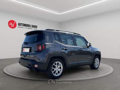 Jeep Renegade 1.0 T3 Limited GPL Grigio usata Maniago