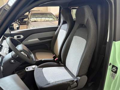 Birba 13,9 kWh SPORT Argento usata Meda