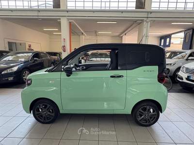 Birba 13,9 kWh SPORT Argento usata Meda