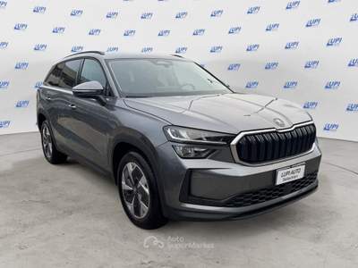 Skoda Kodiaq 2.0 TDI EVO Executive DSG 7p Grigio usata Pistoia