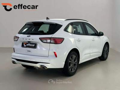 Ford Kuga 1.5 EcoBlue 120 CV aut. 2WD ST-Line IVA ESPOSTA Bianco usata Mazzano