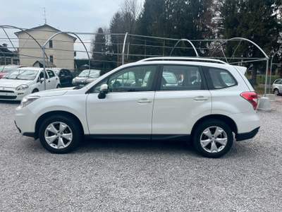 Subaru Forester Trend Bianco usata Bulgarograsso