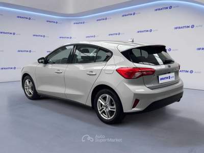 Ford Focus Focus 1.5 Ecoblue 120 Cv 5p. Business Argento usata Cassola
