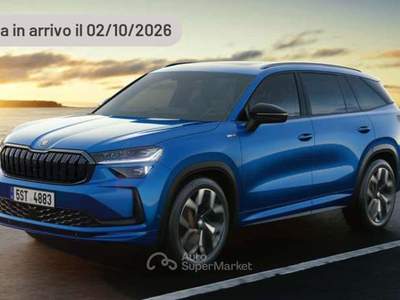 Skoda Kodiaq 2.0 TDI DSG Selection Argento usata Pieve di Cento