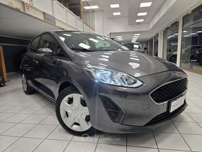 Ford Fiesta 75CV 5 porte - NEOPATENTATI Grigio usata Rovigo