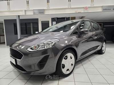 Ford Fiesta 75CV 5 porte - NEOPATENTATI Grigio usata Rovigo