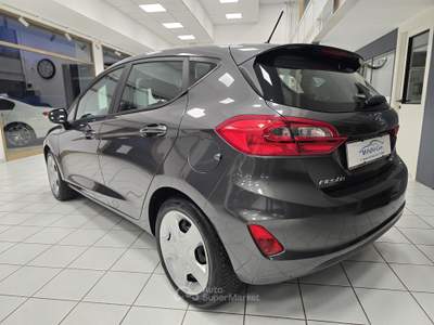 Ford Fiesta 75CV 5 porte - NEOPATENTATI Grigio usata Rovigo
