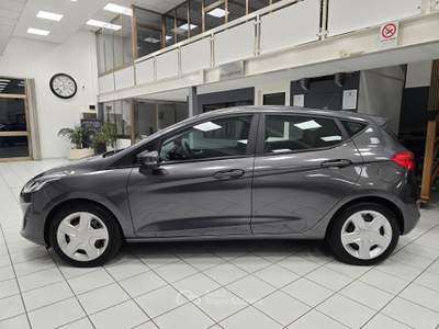 Ford Fiesta 75CV 5 porte - NEOPATENTATI Grigio usata Rovigo