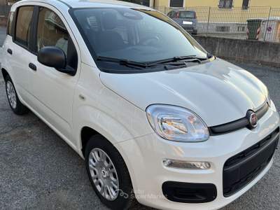 Fiat Panda Panda 1.0 70cv Icon 5 POSTI Bianco usata Almese