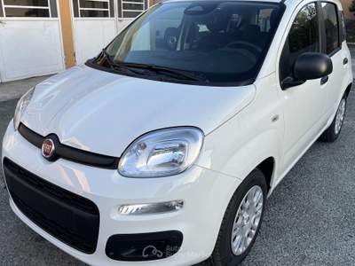 Fiat Panda Panda 1.0 70cv Icon 5 POSTI Bianco usata Almese