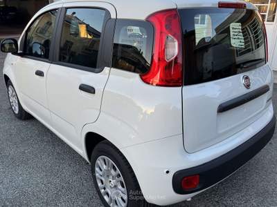 Fiat Panda Panda 1.0 70cv Icon 5 POSTI Bianco usata Almese
