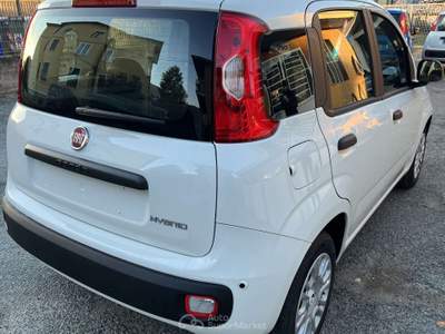 Fiat Panda Panda 1.0 70cv Icon 5 POSTI Bianco usata Almese
