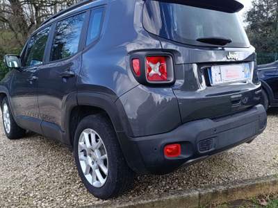 Jeep Renegade Renegade 2019 1.0 t3 Limited 2wd Grigio usata Bracciano