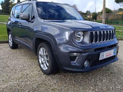 Jeep Renegade Renegade 2019 1.0 t3 Limited 2wd Grigio usata Bracciano