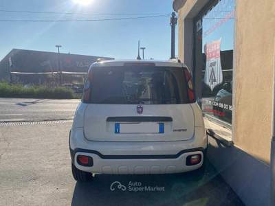 Fiat Panda 1.0 FireFly S&amp;S Hybrid Bianco usata Pinerolo