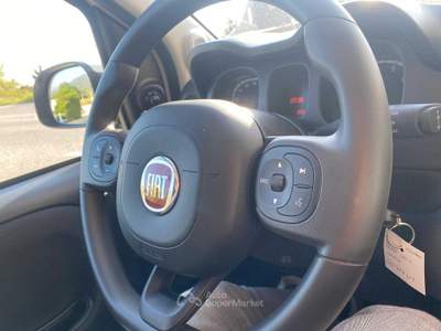 Fiat Panda 1.0 FireFly S&amp;S Hybrid Bianco usata Pinerolo