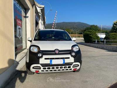 Fiat Panda 1.0 FireFly S&amp;S Hybrid Bianco usata Pinerolo