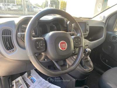 Fiat Panda 1.0 FireFly S&amp;S Hybrid Bianco usata Pinerolo