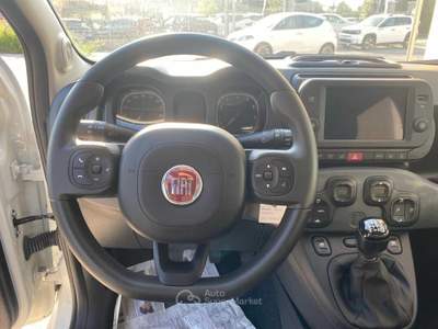 Fiat Panda 1.0 FireFly S&amp;S Hybrid Bianco usata Pinerolo