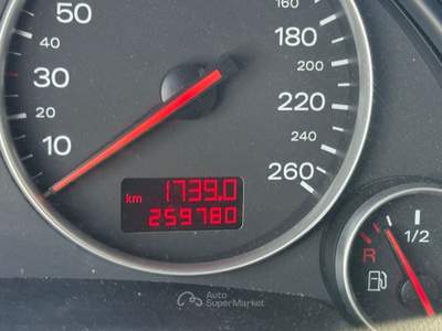 Audi A4 1.9 TDI 130 CV Grigio usata San Salvatore Telesino