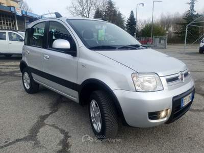 Fiat Panda DPF 4x4 Climbing Grigio usata Cumiana