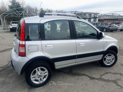 Fiat Panda DPF 4x4 Climbing Grigio usata Cumiana
