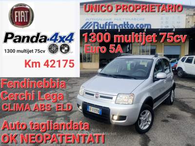 Fiat Panda DPF 4x4 Climbing Grigio usata Cumiana